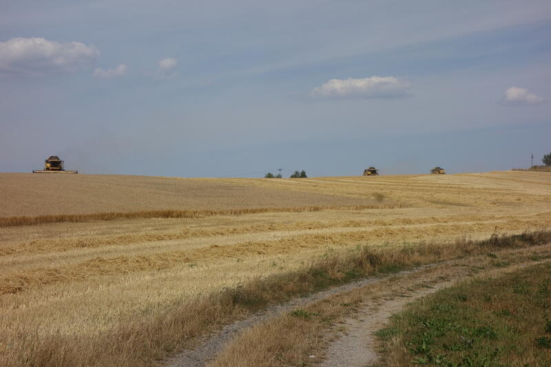 bilder/4_8_2022/DSC03240.jpg