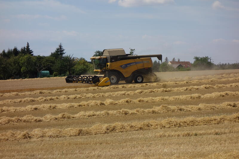 bilder/29_4_2004/terra_gator_2.jpg