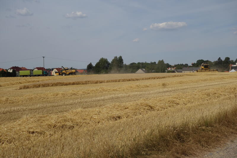 bilder/4_8_2022/DSC03247.jpg