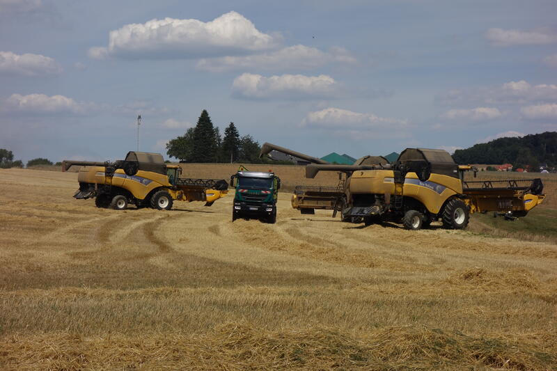 bilder/27_8_2002/fendt_824.jpg