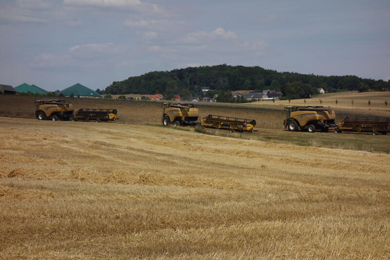 bilder/5_6_2003_2/terra_gator_2.jpg