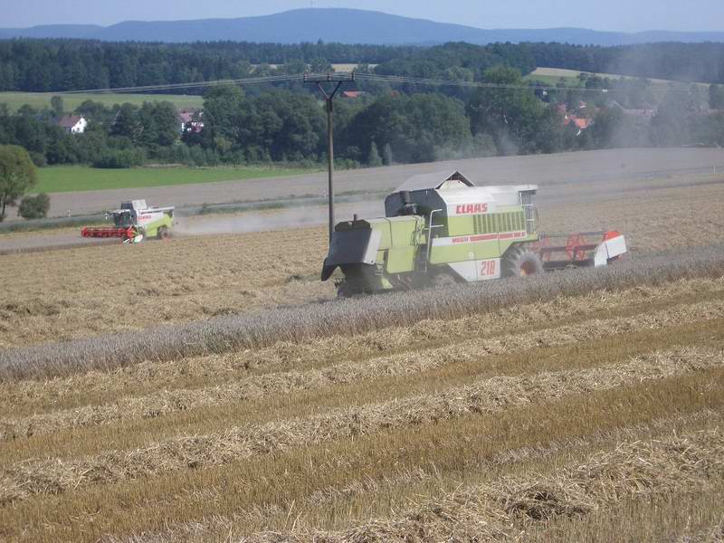 bilder/4_9_2004/lexion_mega_6.jpg