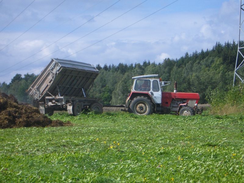 bilder/20_5_2004/zt_323_6.jpg