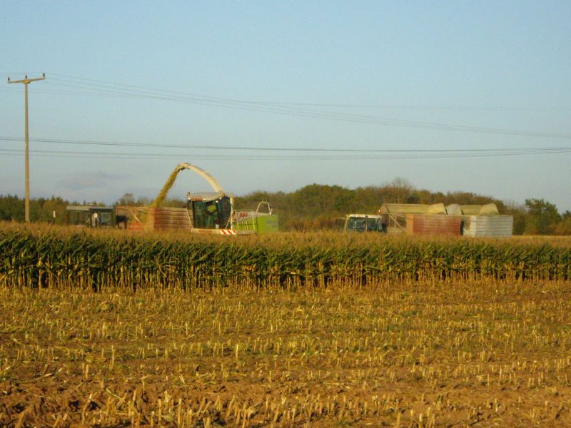 bilder/19_7_2012/CIMG9699.jpg