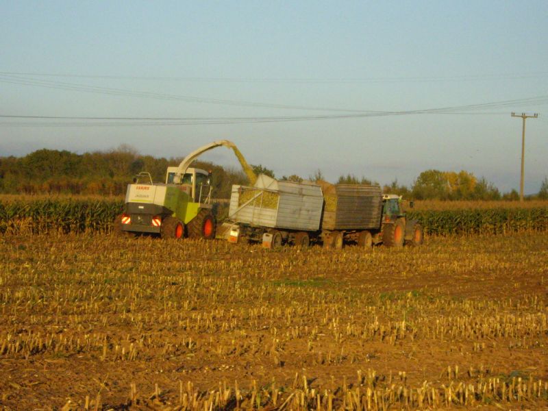 bilder/18_7_2003_2/terra_gator_7.jpg