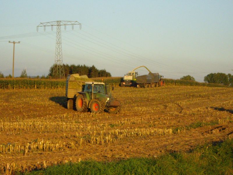 bilder/18_8_2005/mega_w50_2.jpg