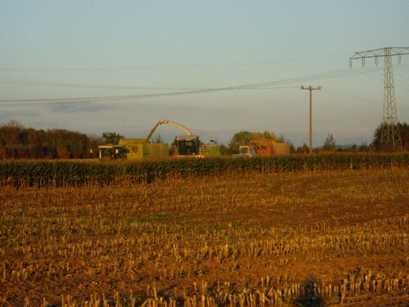bilder/11_8_2005/w50_2.jpg