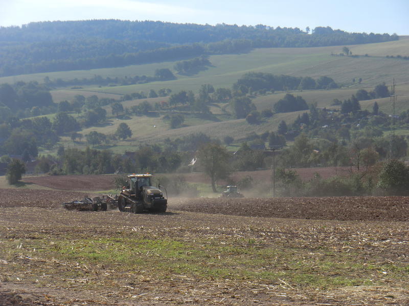 bilder/5_10_2013/CIMG0123.jpg