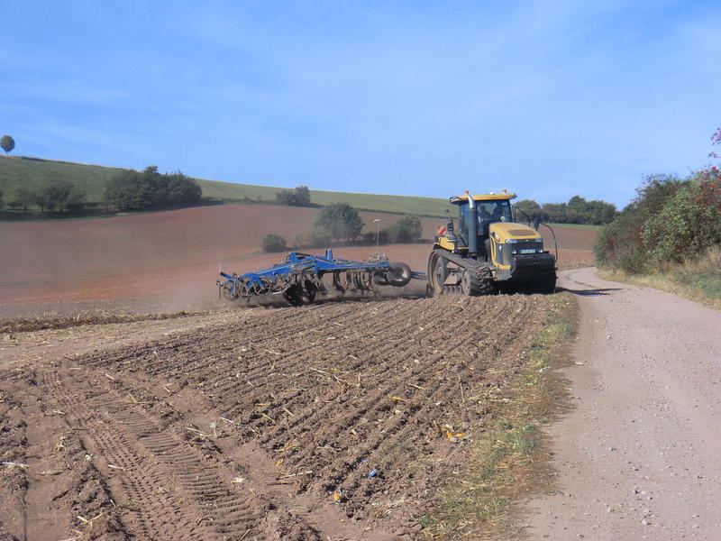 bilder/5_10_2013/CIMG0126.jpg