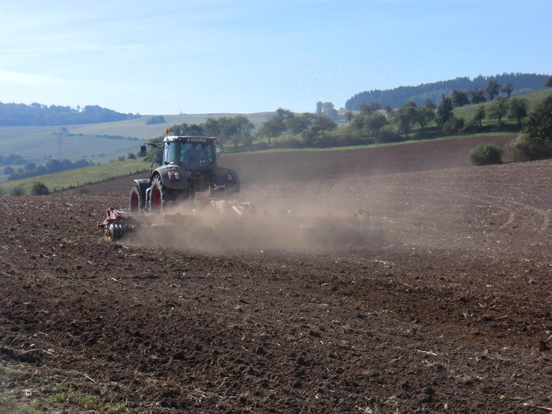 bilder/20_8_2003_2/jaguar_fendt_7.jpg