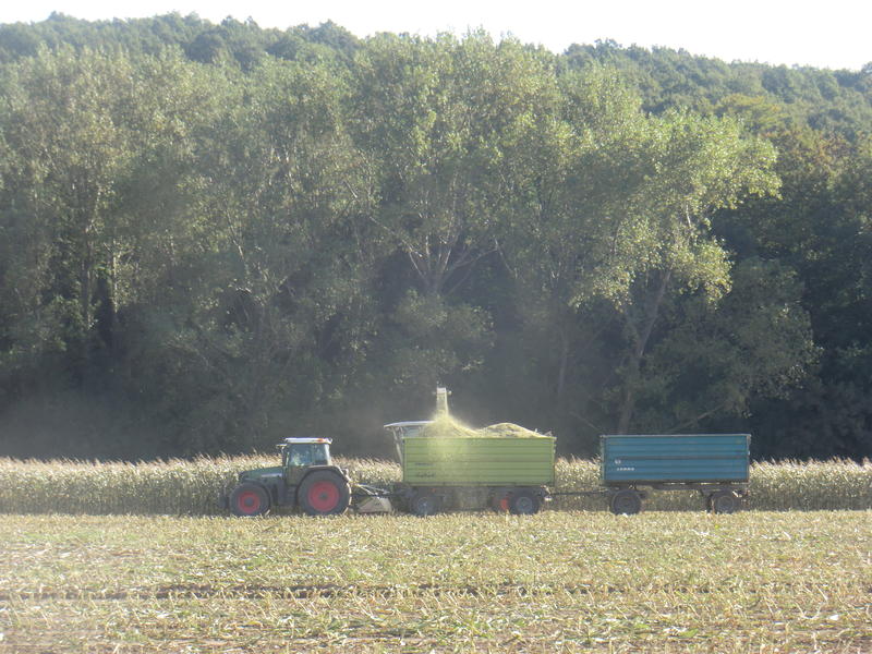 bilder/5_10_2013_2/CIMG0055.jpg