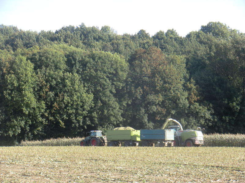 CIMG0056.jpg