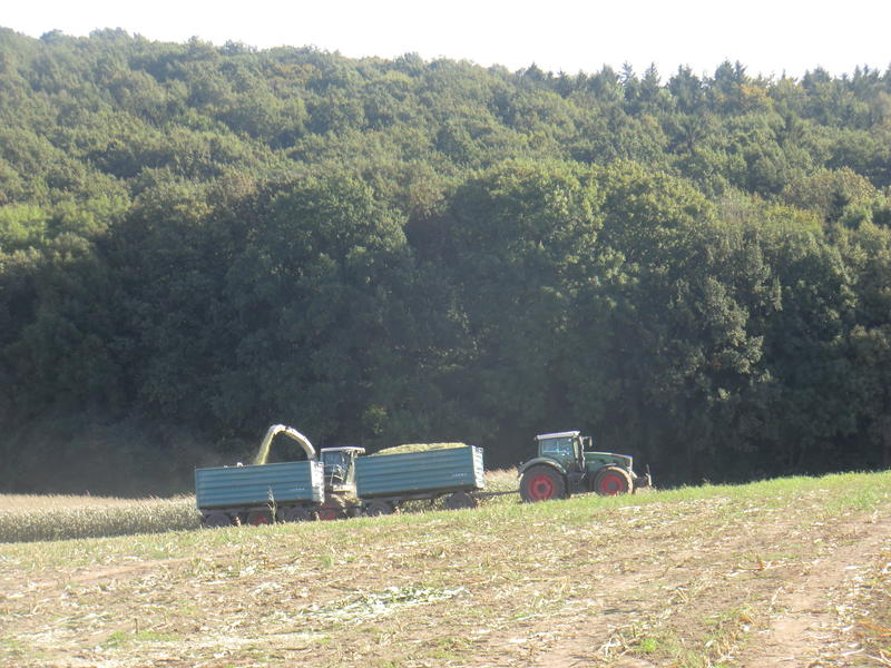 bilder/22_8_2005/lexion_11.jpg