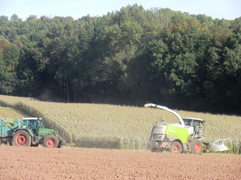 bilder/5_10_2013_2/CIMG0083.jpg