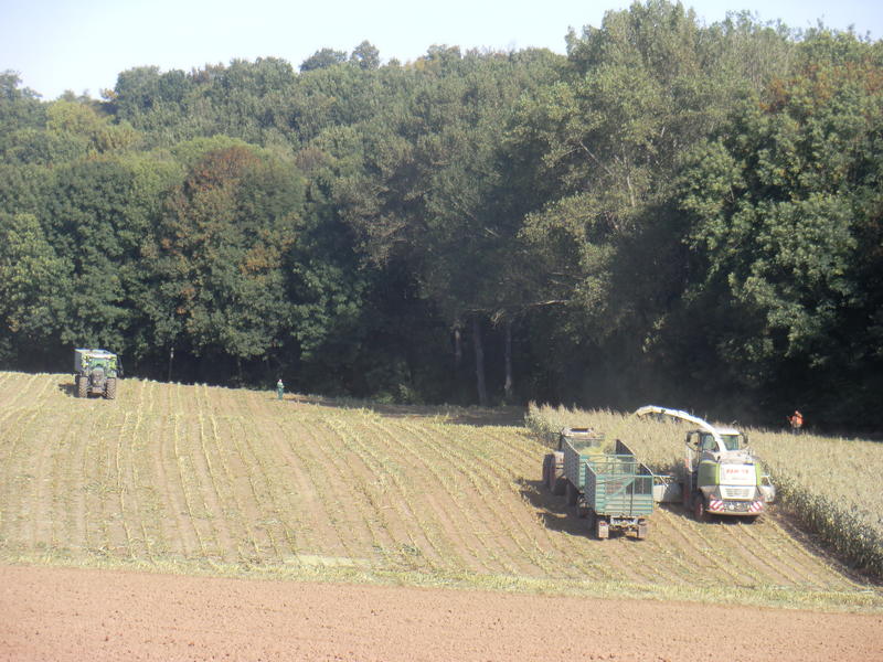 CIMG0105.jpg