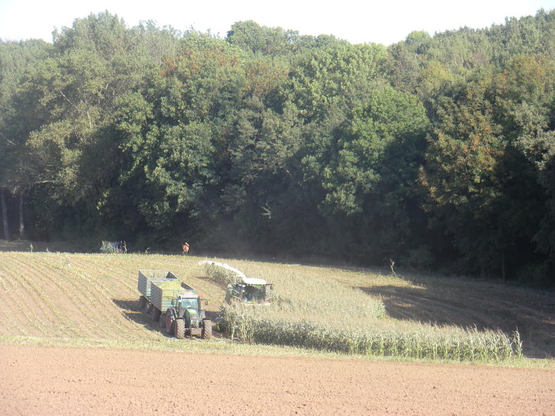 bilder/5_10_2013_2/CIMG0107.jpg