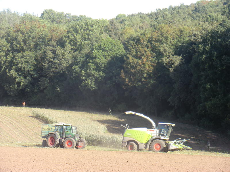 bilder/5_10_2013_2/CIMG0109.jpg