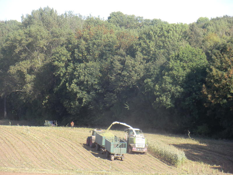 bilder/19_5_2015/DSC01126.jpg