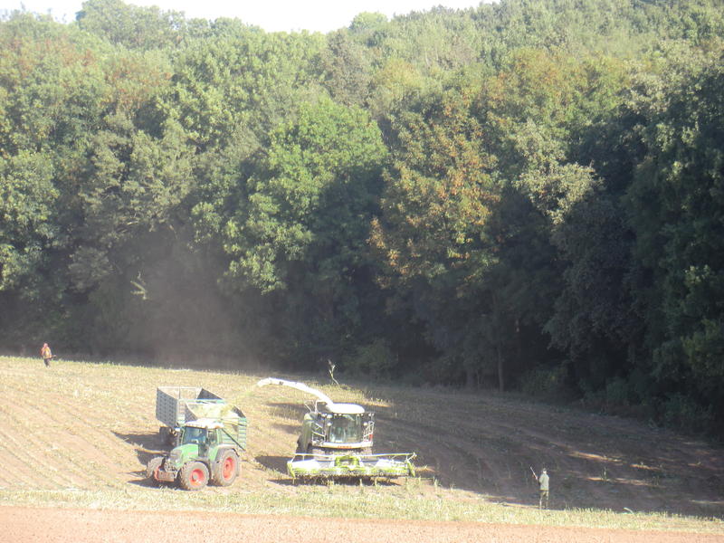 bilder/2_6_2014_2/CIMG2791.jpg