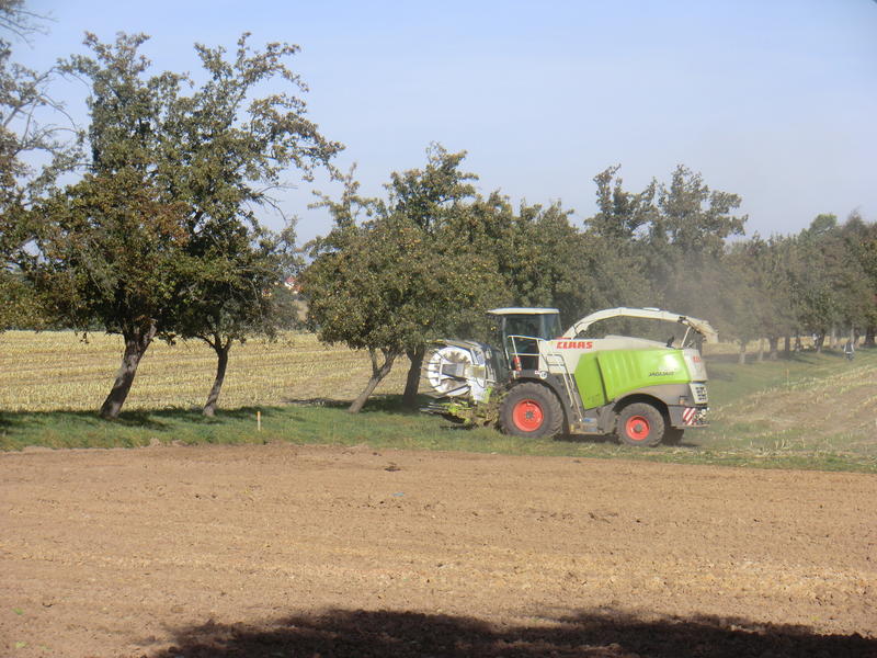 CIMG0117.jpg