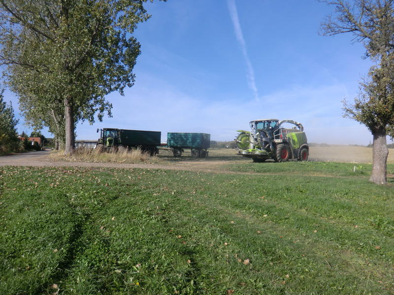 bilder/5_10_2013_2/CIMG0118.jpg