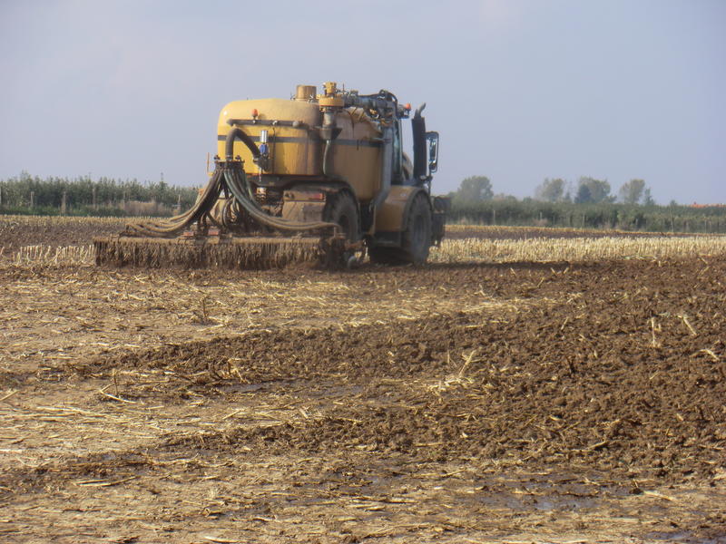 CIMG8086.jpg