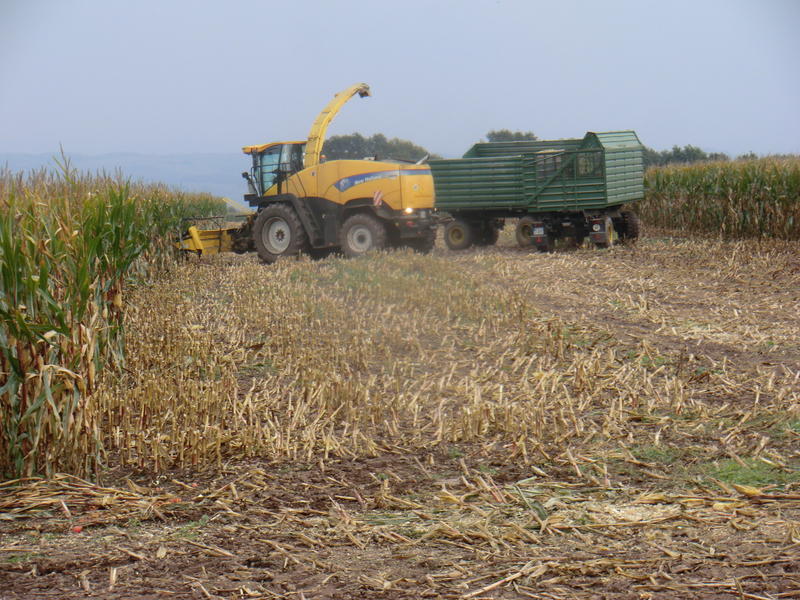 bilder/6_8_2002_1/fendt_514_+_weimar.jpg