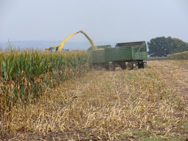 CIMG8106.jpg