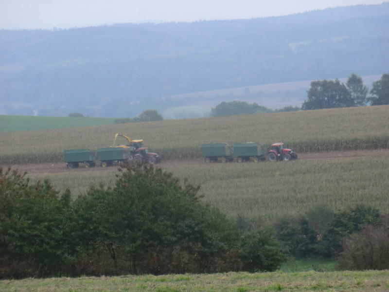 bilder/5_10_2014_2/CIMG8111.jpg