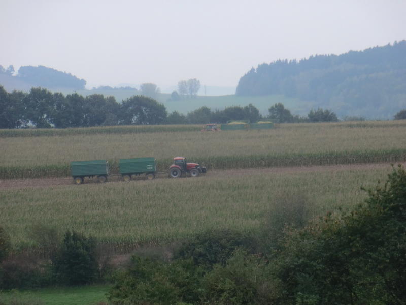 bilder/5_5_2013_2/CIMG7248.jpg