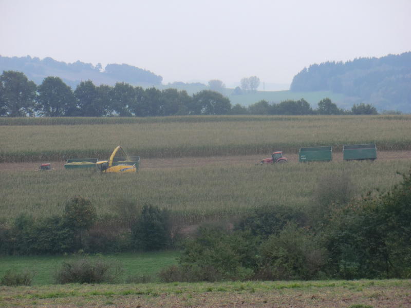 CIMG8116.jpg