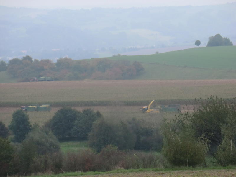 CIMG8118.jpg