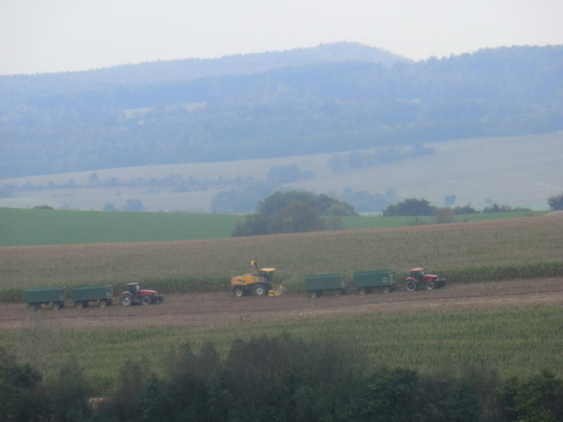 bilder/5_10_2014_2/CIMG8123.jpg