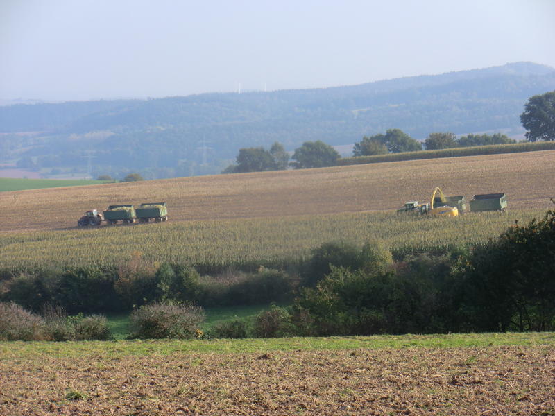 bilder/5_10_2014_2/CIMG8220.jpg