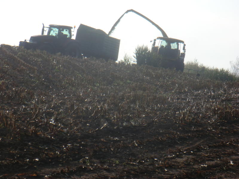 bilder/18_7_2003_2/terra_gator_7.jpg