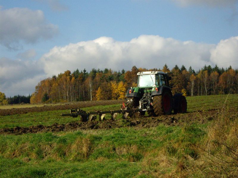 IMGP4090.jpg