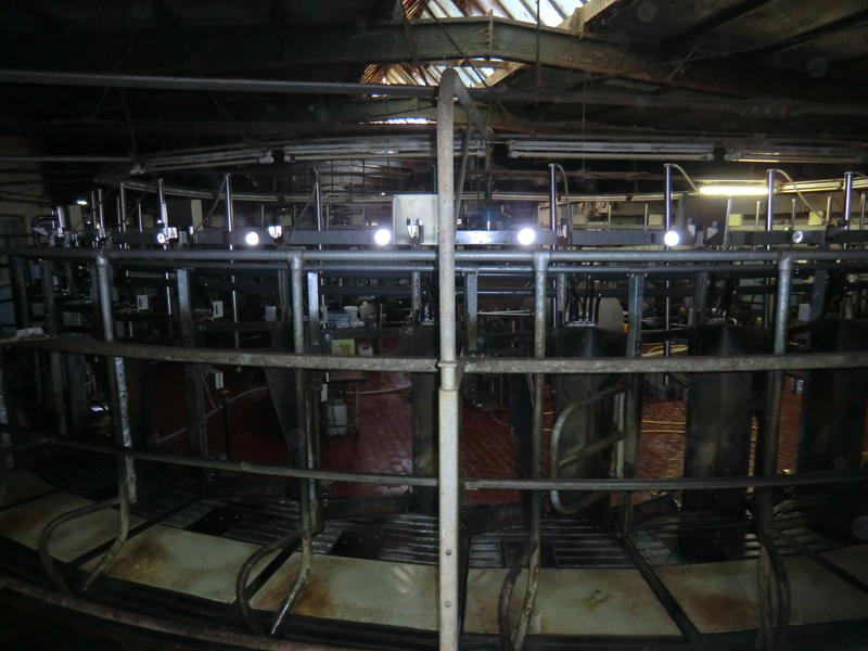 CIMG5959.jpg