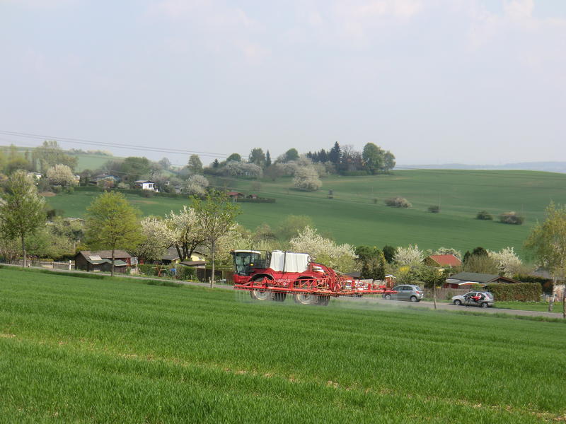 bilder/5_5_2013/CIMG7240.jpg