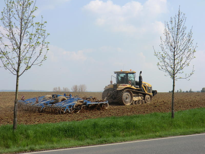 bilder/5_5_2013_2/CIMG7248.jpg