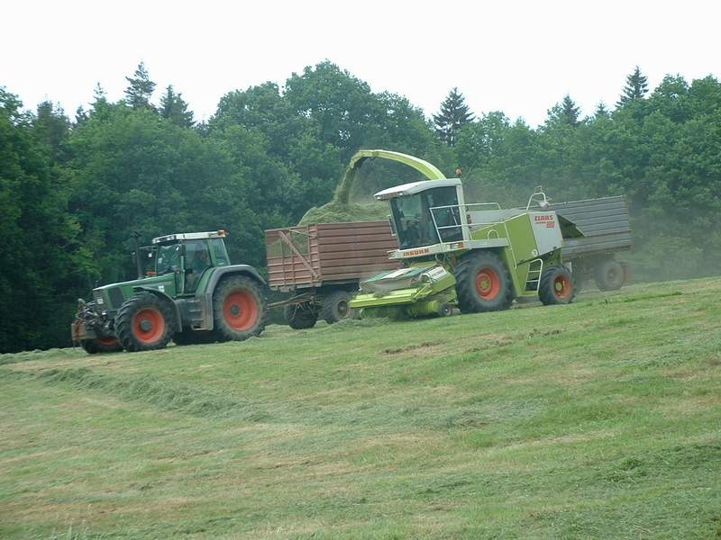 bilder/5_11_2007/IMGP4132.jpg