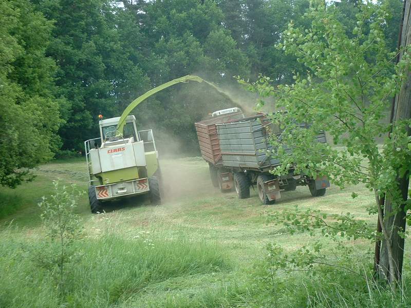 bilder/5_6_2003/jaguar_+_fendt_824_2.jpg