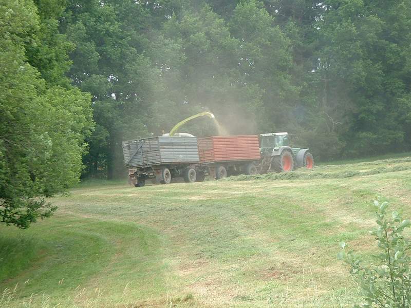 bilder/20_4_2013_2/CIMG7193.jpg