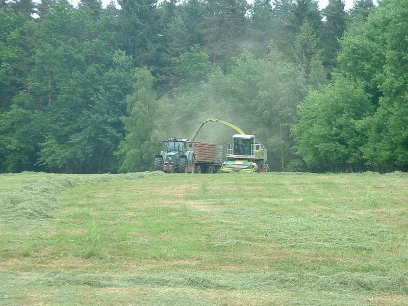 jaguar_+_fendt_824_4.jpg