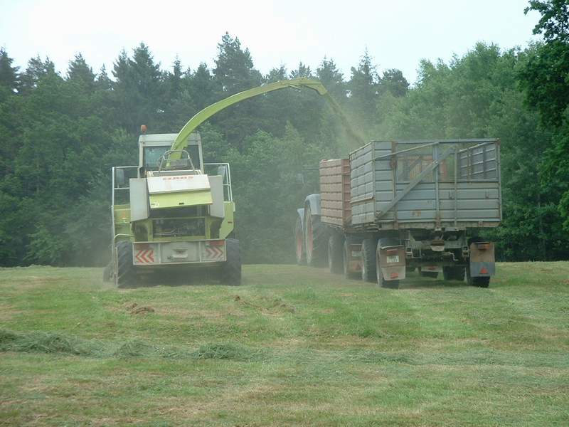 bilder/5_6_2003/jaguar_+_fendt_824_8.jpg