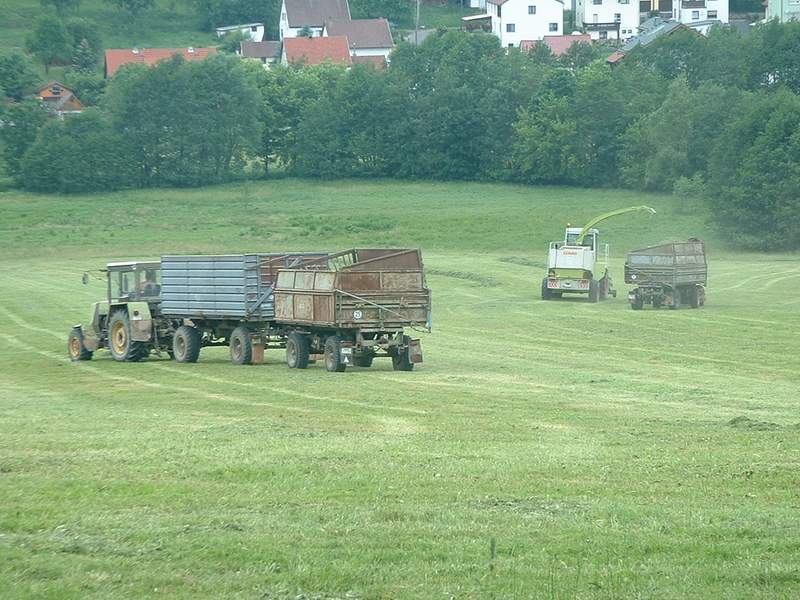 bilder/1_5_2005_2/terra_gator_10.jpg