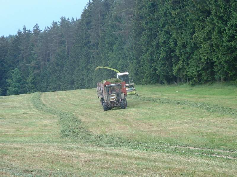bilder/6_8_2002_1/fendt_514_4.jpg