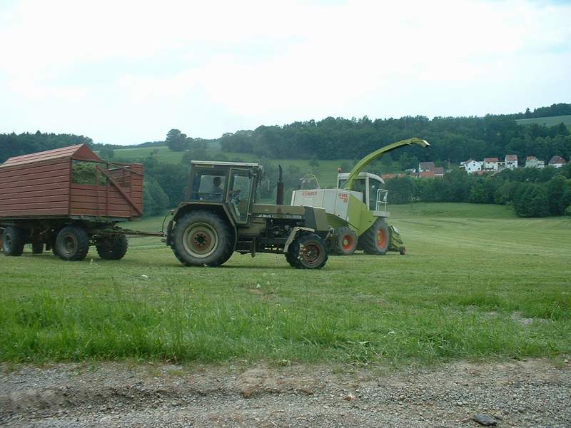 bilder/26_4_2002/zt_303.jpg