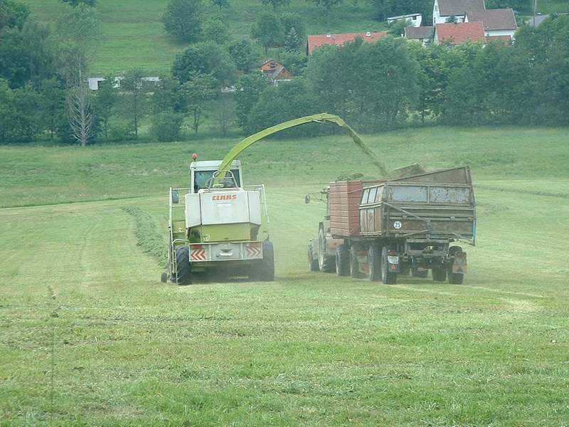 bilder/7_11_2008/IMGP2673.jpg