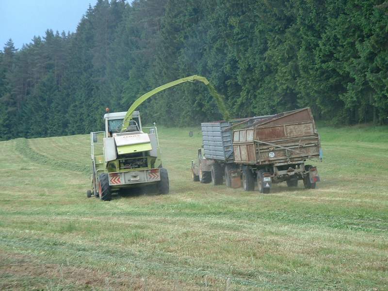 bilder/Fabian/8_9_2005/Case_3.jpg