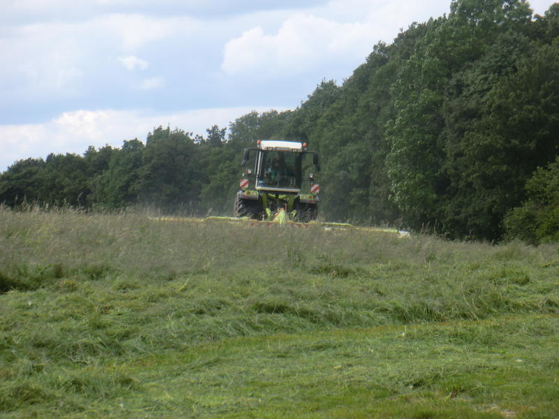 CIMG3176.jpg